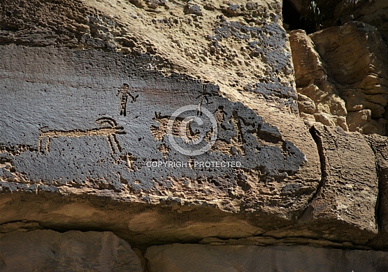 Herder Panel