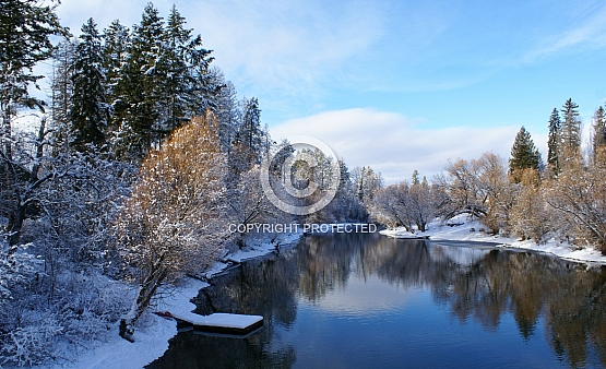 Morning Calm on the Whitefish River
