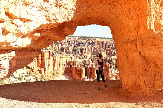 Window Under the Rim
