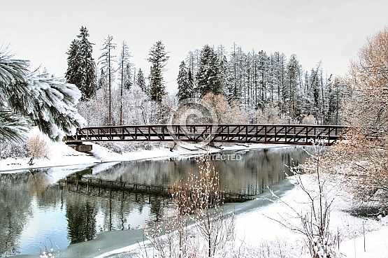 Winter on the Whitefish River