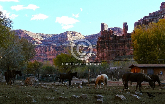 Supai Canyon