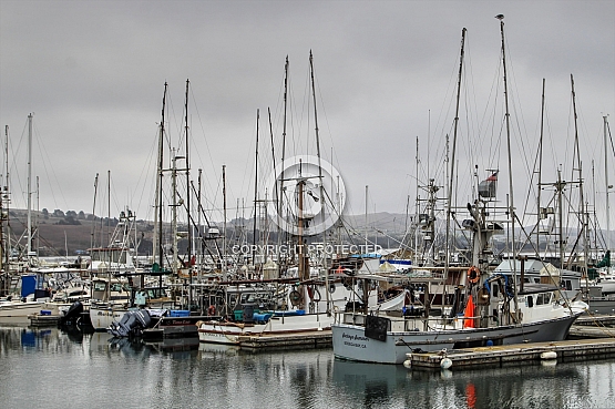 Spud Point Marina at Bodega Bay