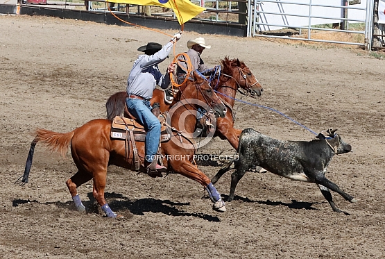 Lookin' for the Heelshot!