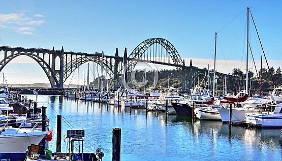 Newport Bay Marina