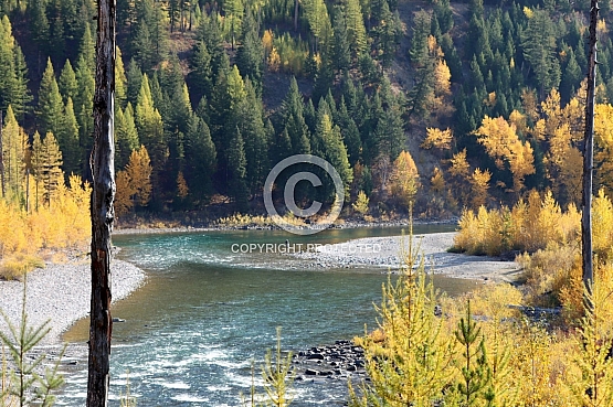 Fishing the Riffles