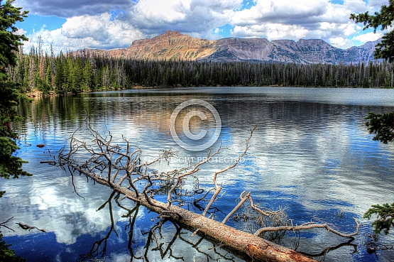 Evening on Mirror Lake