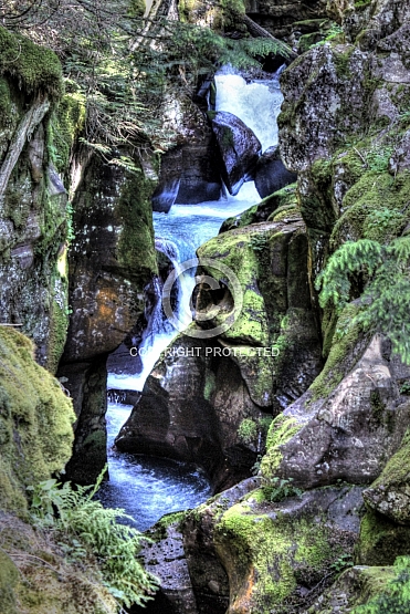 Avalanche Falls, Glacier National Park