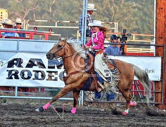 Palomino Queen