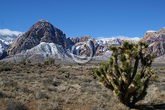 South Nevada Red Rocks