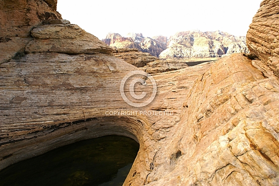 Tenaja at Sandstone Quarry