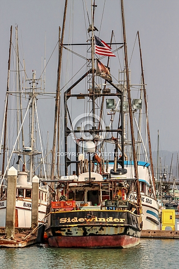 Sidewinder from Shelter Cove