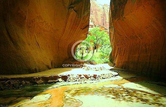 Paria River at midday