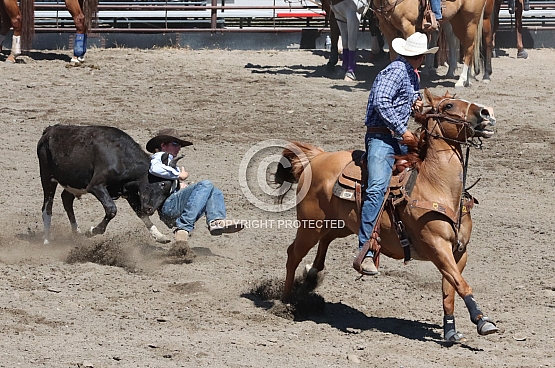 Time to Eat Dirt