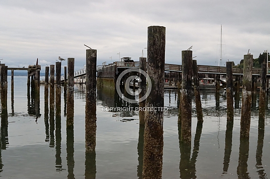 Remnants of Old Langley Dock