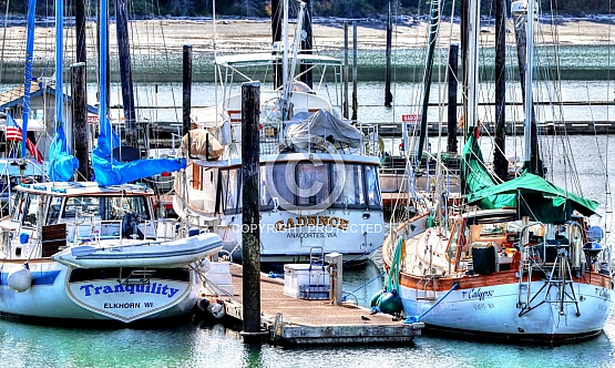 Oak Harbor Yachts