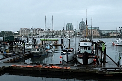 Fishing Boats on the Wharf in Victoria Harbor
