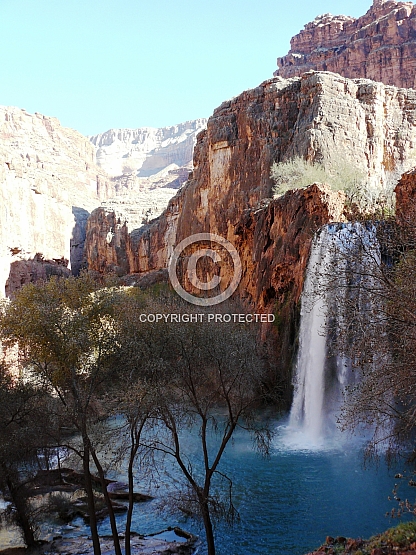 Havasu Canyon Portrait